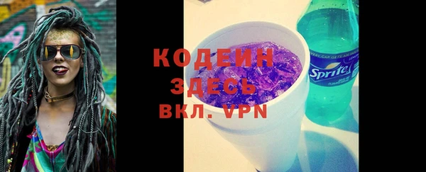 метадон Инта