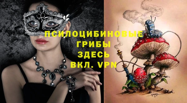 метадон Инта