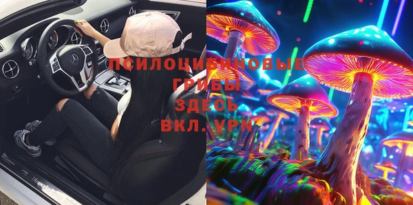 метадон Инта