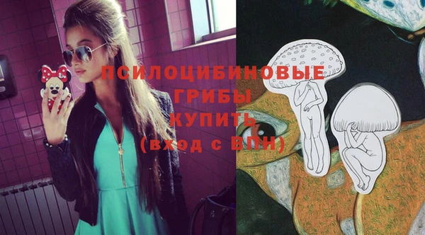 MDMA Инсар