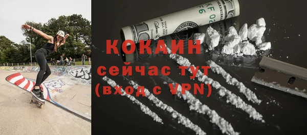 метадон Инта